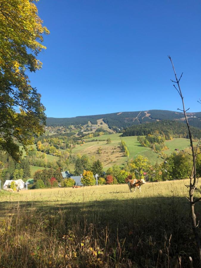 Apartman Roky 6 Rokytnice nad Jizerou Luaran gambar